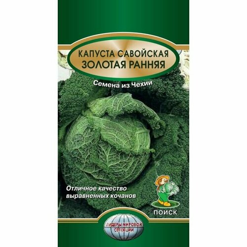 ���� ������ ������� ��������� 