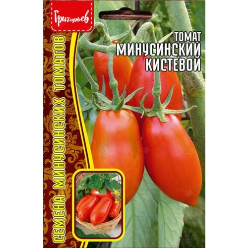 ���� ������ ������ 