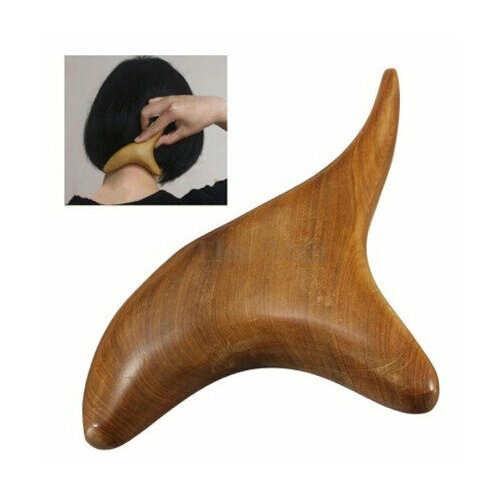 ���� �������� ��� ���� � ���� BOTTONCINI ����������, �-� 14�7,5�2 ��, ������ �� 598 ���