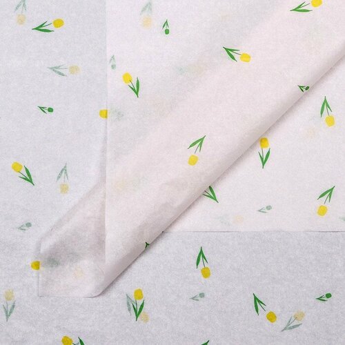 ���� ������ ����������� �����, 