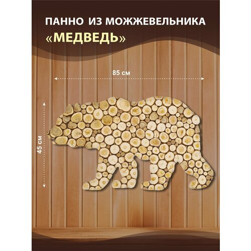 ���� ����� 