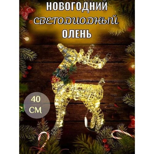 ���� ���������� ���������� ����� 40��, ������ �� 1790 ���