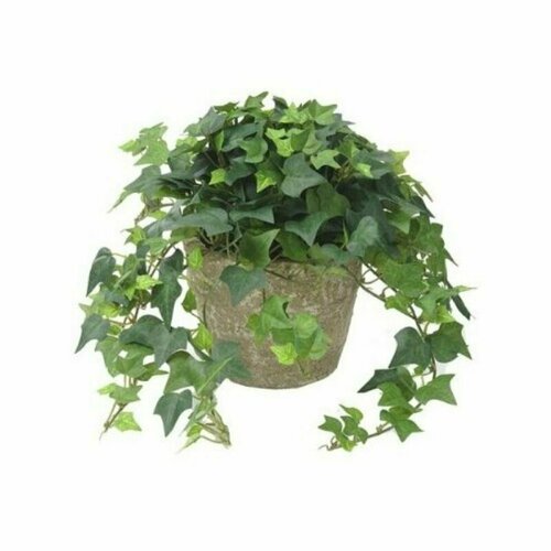 ���� ������, ����, ������, ������ �� 433 ���