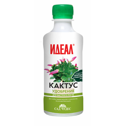 ���� ������ (0.25 �) ��������� ������ ������������ ����������� ��������, ������ �� 362 ���