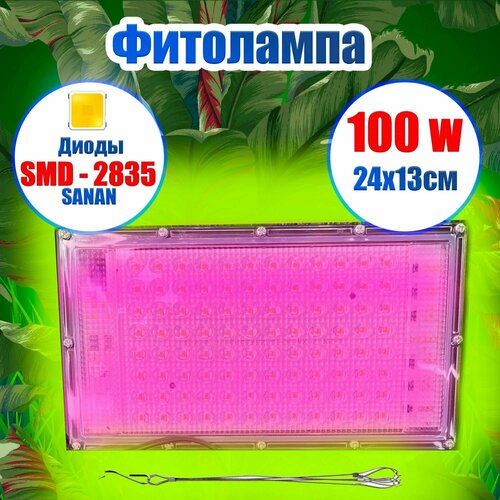 ���� ��������� 100 ���� ��� ����������� �������, ������ �� 2400 ���