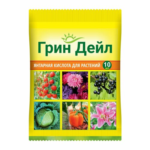 ���� �������� ������� ��� �������� ���� ���� �� (10 ��), ������ �� 100 ���