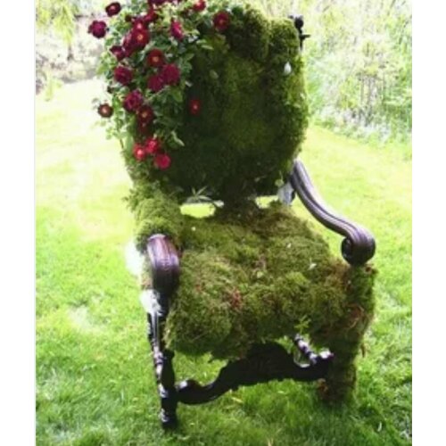 ���� ��� �������� ������������������� � ������� 25�. ������ ����������� �����., ������ �� 2698 ���