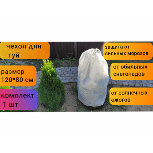 ���� ������ ����� ��� ������ � �������� � ��������/��� ���/��� ���/��� ��������������/��� ��������� ������ 120*80 ��, 1 ��., ������ �� 350 ���