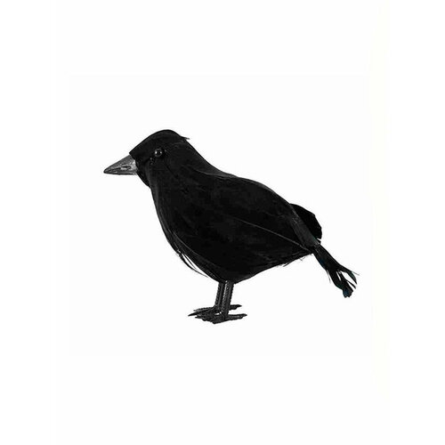 ���� ������ 