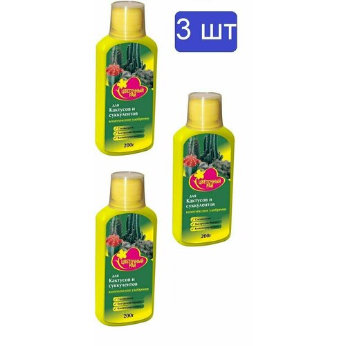 ���� ��������� 