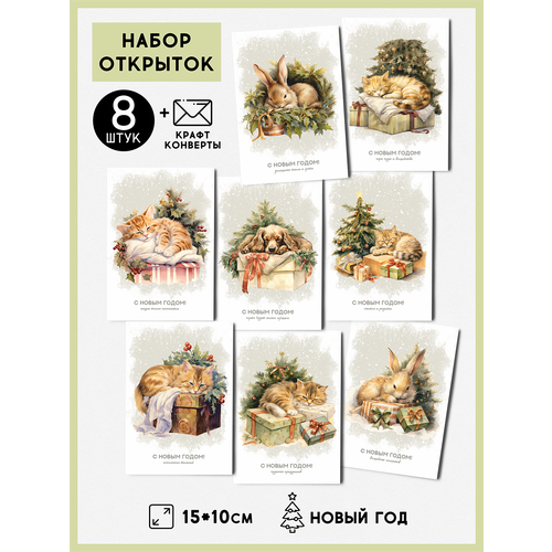 ���� ����� �������� 