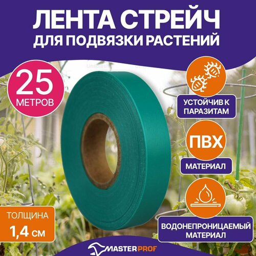 ���� ����� ������ ��� �������� �������� 25 ������, ������ �� 196 ���