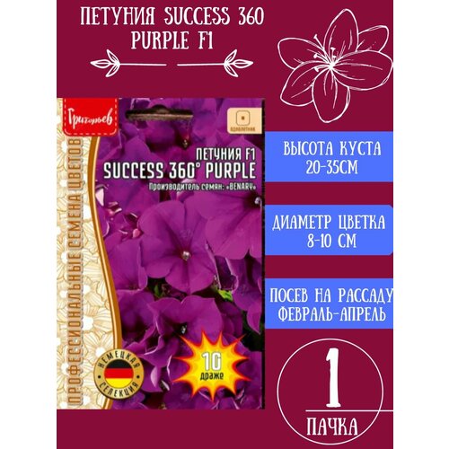   SUCCESS 360 Purple F1 1,   233 