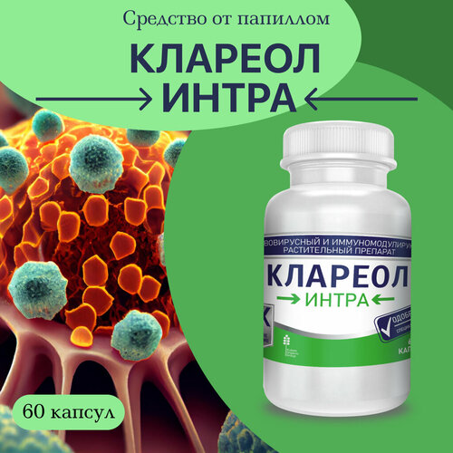 ���� �������� �� ��������� � �������� � �������� �������, ������ �� 665 ���