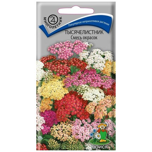 ���� ������������� ����� ������� (0,1 �), 2 ������, ������ �� 249 ���