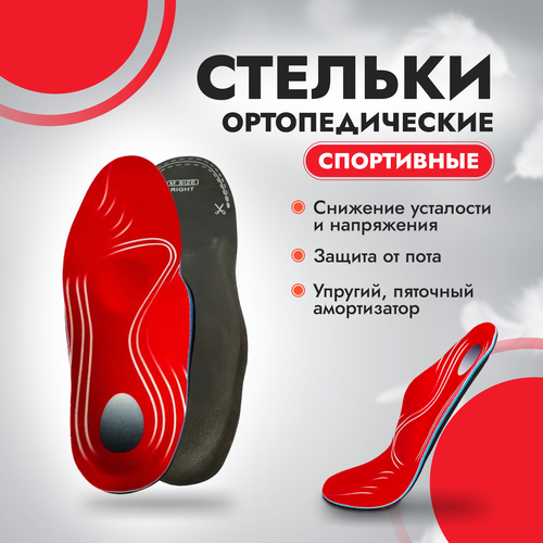 ���� ������� ��� �����, ����������, ������������ ������ 38-40, ������ �� 517 ���