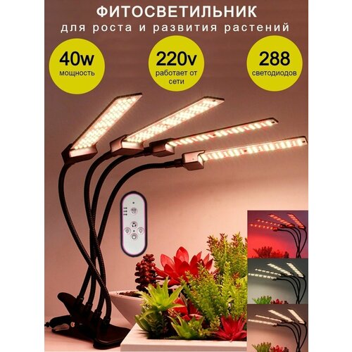           , Led   ,   4000 