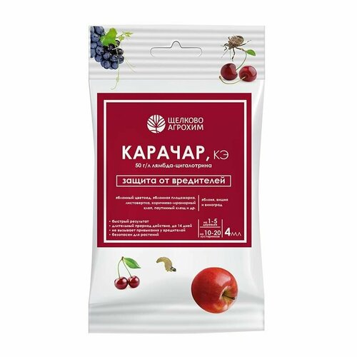 ���� ������� 4 �� (�� ��������� ����������) /������� �������/, ������ �� 303 ���