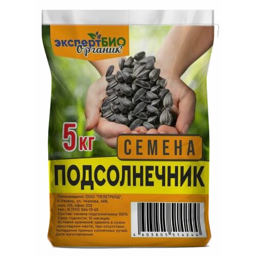 ���� ������ ������������� ����� ����������� ��� ����, ���� ��� ����, ��������, ������� ������, ������ �� 1000 ���