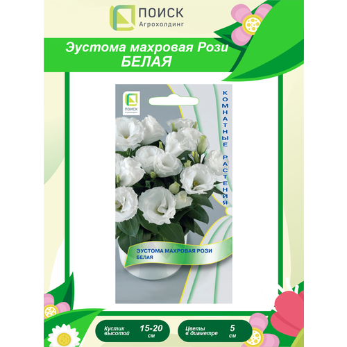 ���� ������ ������� �������� ���� ����� ��������� 5 ��., ������ �� 283 ���