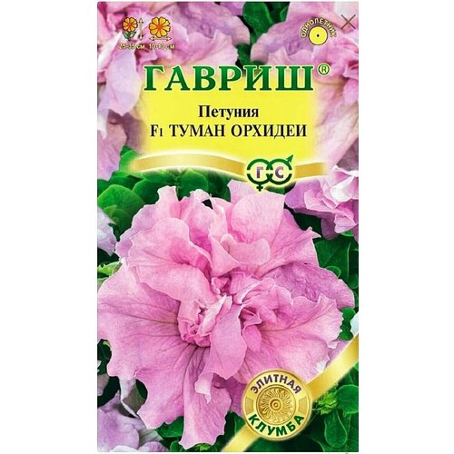     F1 , 1 , . 5  (), ,   61 