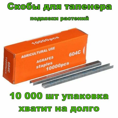 ���� ����� ��� �������� ��� �������� �������� / ���������� ������� ������������� �������, �������, ������, ��������� / ����� ��������� ��� �������, �������, ������ �� 357 ���