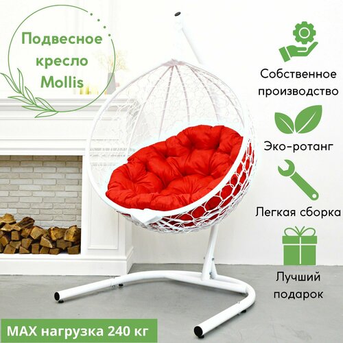 ���� ��������� ������-����� Mollis ��� ���� � ����� ����� � ������� ������� ��������, ������ �� 15990 ���