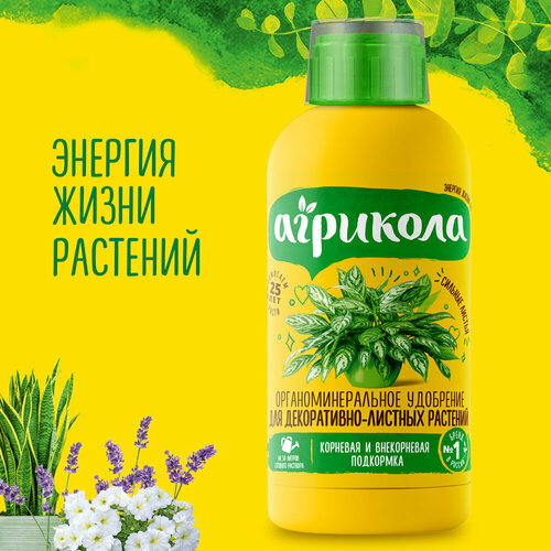 ���� ��������� ��� ������������������ �������� �������� ����, 250 ��, ������ �� 209 ���