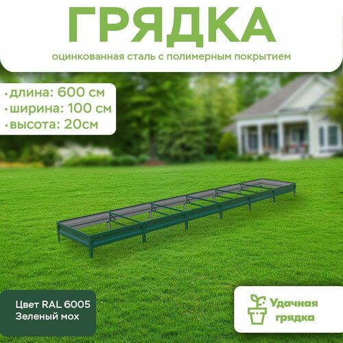      ,  6 ,  1 ,   20 ,  RAL 6005  ,   6213 