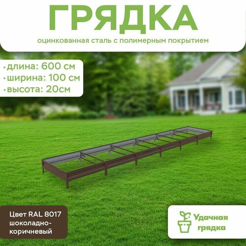      ,  6 ,  1 ,   20 ,  RAL 8017 -,   6213 