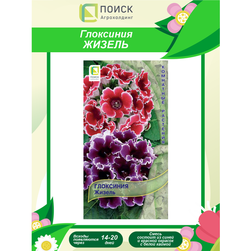 ���� ������ ��������� ������ ��������� 5 ��., ������ �� 289 ���