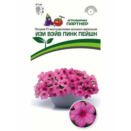 ���� ������ ������� �������������� ��������-��������� 