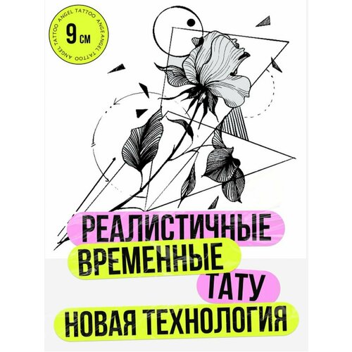 ���� ���� ���������� �������������� �������� ���������, ������ �� 412 ���