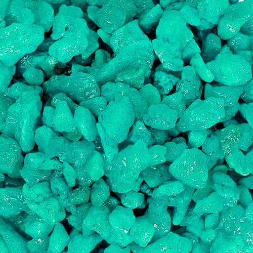 ���� ����������� ����� ��� ��������, ����������� � ��������, Zoo One, ��������� ��������, 