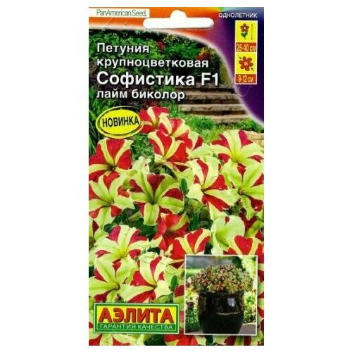 ���� ������� ��������������� ��������� ���� ������� F1 ( 1 �������� ), ������, ������ �� 539 ���