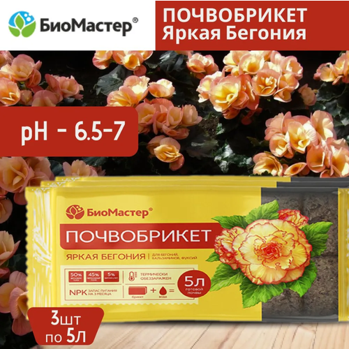 ���� �������� ����������� ����� ������� ���������, 5� 3 �����, ������ �� 520 ���