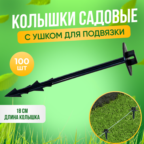 ���� ������� ��� ��������� ���������, ���������, �����������, ��������� ��������� � �������� ������������, 18��. 100 ��., ������ �� 1415 ���