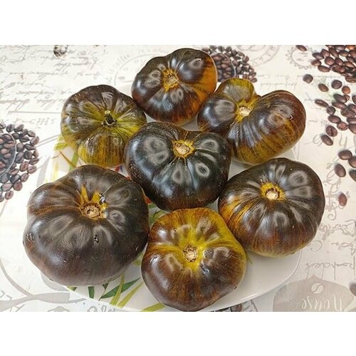 ���� ������������� ������ ������ ���� �������, ������ �� 101 ���