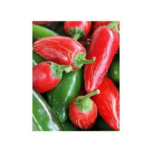 ���� ������������� ������ ����� ������� ��������� ������ F1, ������ �� 104 ���