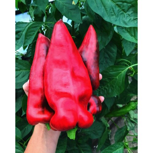 ���� ������������� ������ ����� �������� �������� �����, ������ �� 104 ���