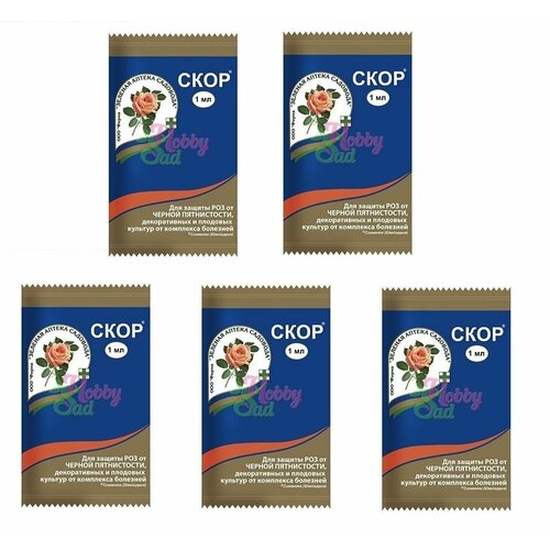 ���� ������� ������ �������� �������� �� �������� �������� ���� 1 ��, 5 ��, ������ �� 390 ���