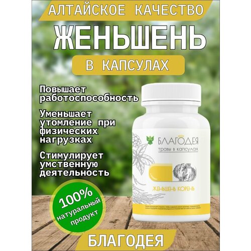 ���� �������� � �������� 