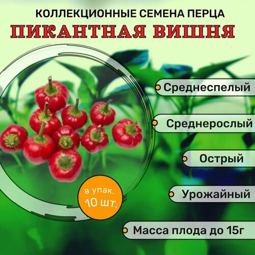 ���� ������������� ������ ����� ������� ��������� �����, ������ �� 102 ���