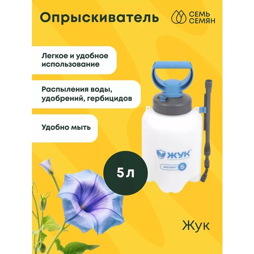 ���� ������������� 