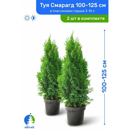 ���� ��� �������� ������� 100-125 �� � ����������� ������ 3-10 �, �������, ������� ����� ��������, �������� �� 2 ��, ������ �� 7790 ���