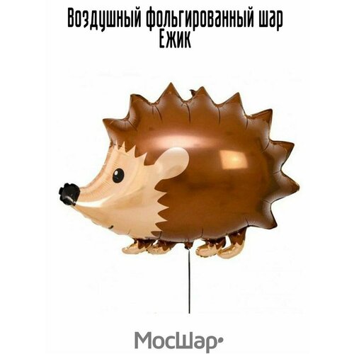 ���� ��������� ��� �������������� ��� ������ 