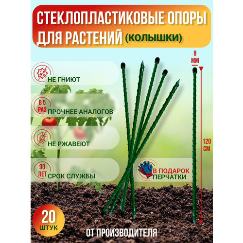        () D 8,  1.2,  20, -,   1620 