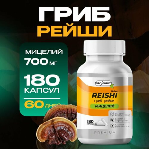 ���� ���� ����� � �������� 700�� ��� ����������, ��� ������, ��� ���, ������ �� 990 ���