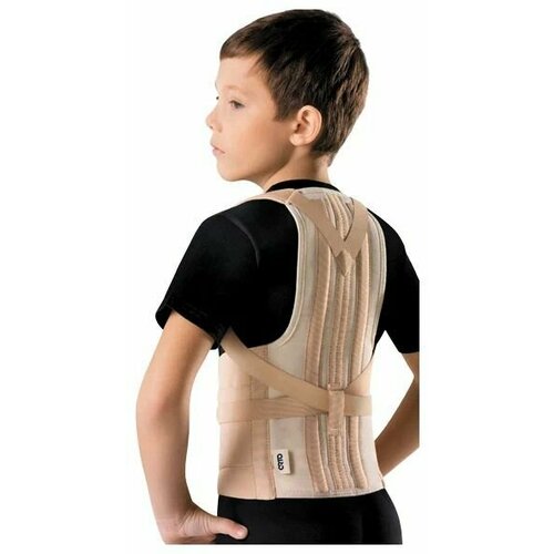 ���� ��������� ������ ��-110 ���., ������ �� 4337 ���