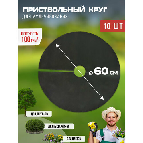 ���� ������������ ���� ��� ������������� 100 ��/�2, ������� 60 ��, 10 ��, ������ �� 395 ���